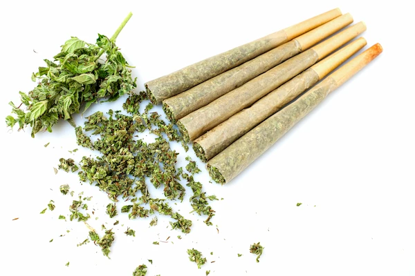 picture of cannabis pre-rolled joints