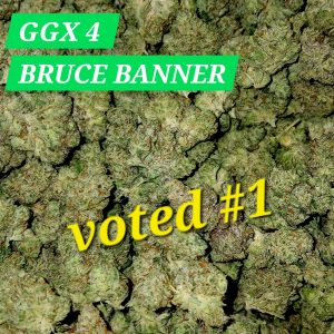 GG4 BRUCE BANNER    (Sticker)