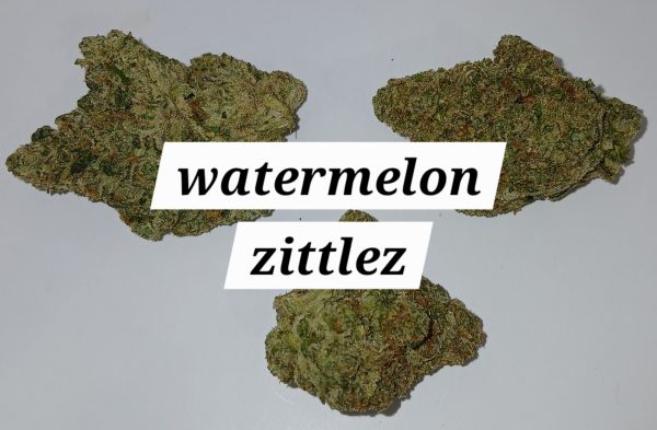 watermelon zittlez   (Sticker)