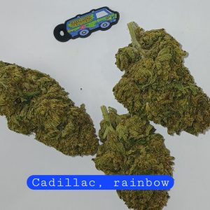 Cadillac rainbow(Sticker)