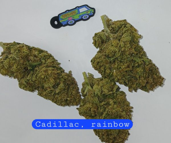 Cadillac rainbow(Sticker)