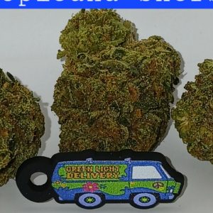 tropicana sherbert     (Sticker)