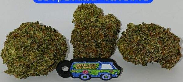 tropicana sherbert     (Sticker)