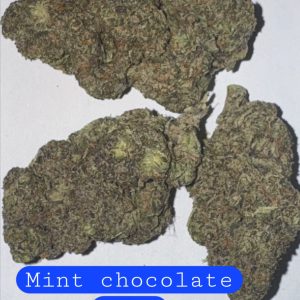 Mint Chocolate Chip     (Sticker)