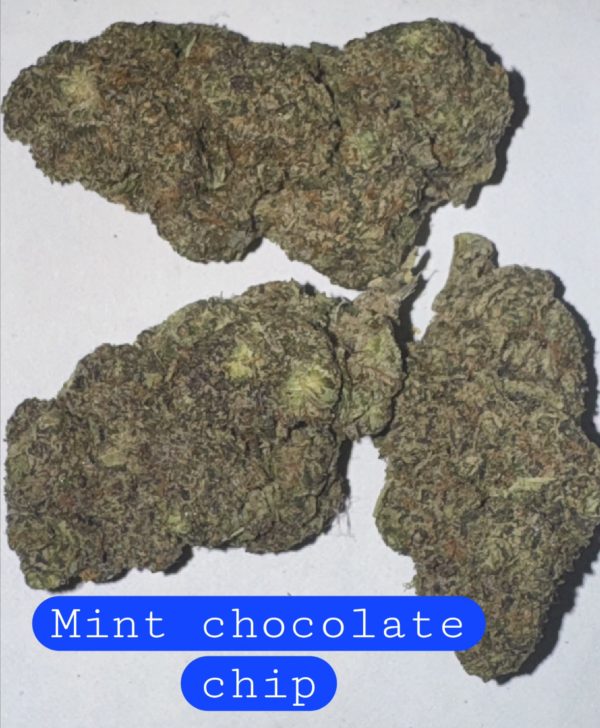 Mint Chocolate Chip     (Sticker)