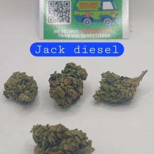 jack diesel   (Sticker)