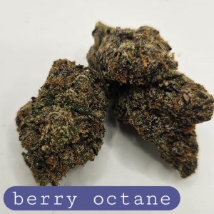 berry octane (Sticker)