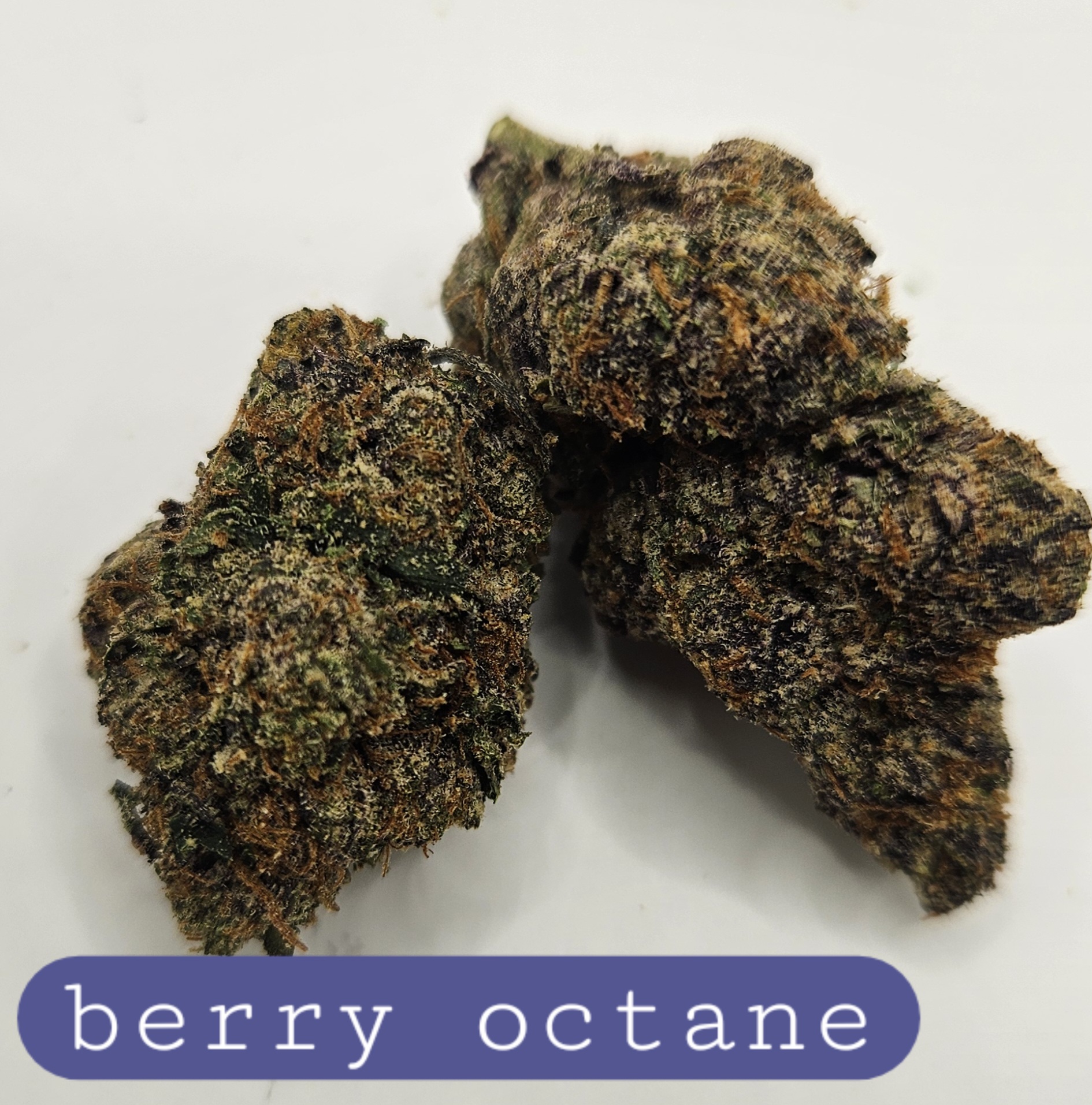 berry octane (Sticker)