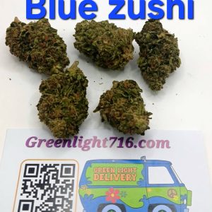 blue zushi (Sticker)
