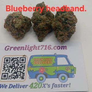 blueberry headband (Sticker)
