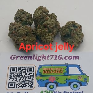 apricot jelly (Sticker)